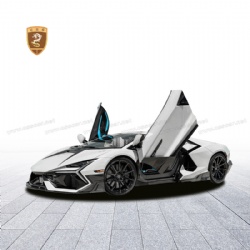 For Lamborghini Revuelto MSY style eyelid